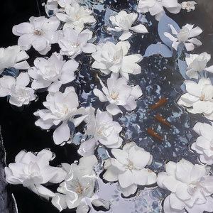 亚洲深喉囗爆HD
